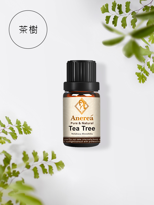 【Anerea】純單方精油-茶樹10ml